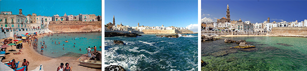 monopoli